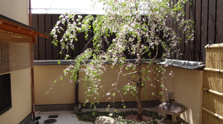DSC00434.JPG