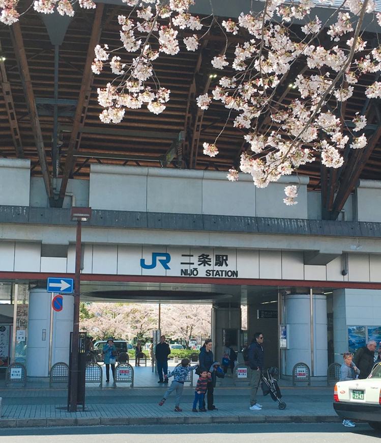 二条駅 IMG_9381 トリ ドキュ大.png