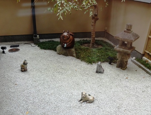 DSC01384 明トリWeb大.JPG