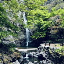 日本の滝百選～箕面の滝