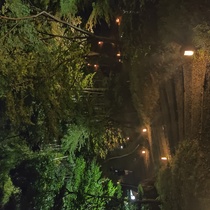 北政所ねねが秀吉を想い建てた『高台寺』