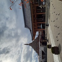新選組ゆかりの壬生寺