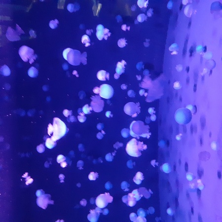 20250821_110304.jpg