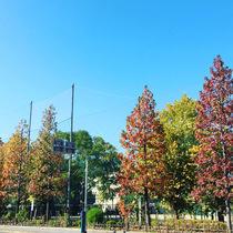 Another Kyoto, Many more to visit from Kyoyado USAGI