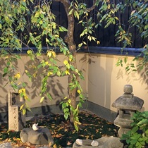 深まる秋と落ち葉拾い