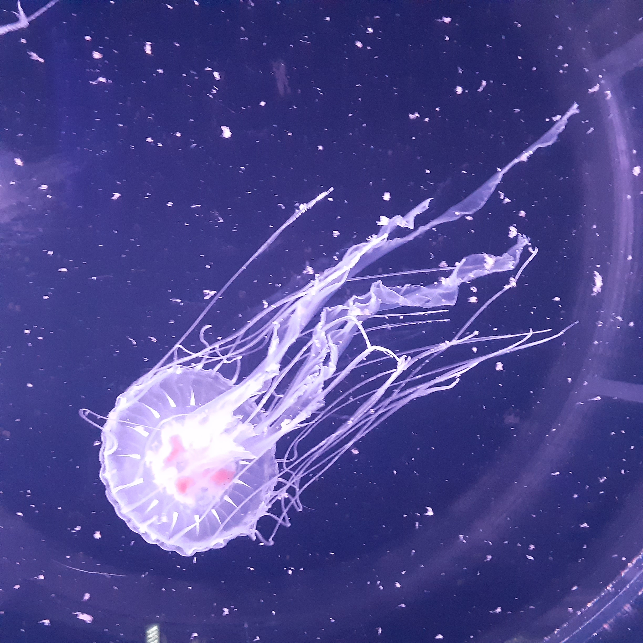 https://www.usagi-yado.com/blog/assets_c/20250821_110234.jpg