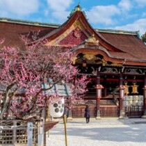 北野天満宮の梅苑開き 2026