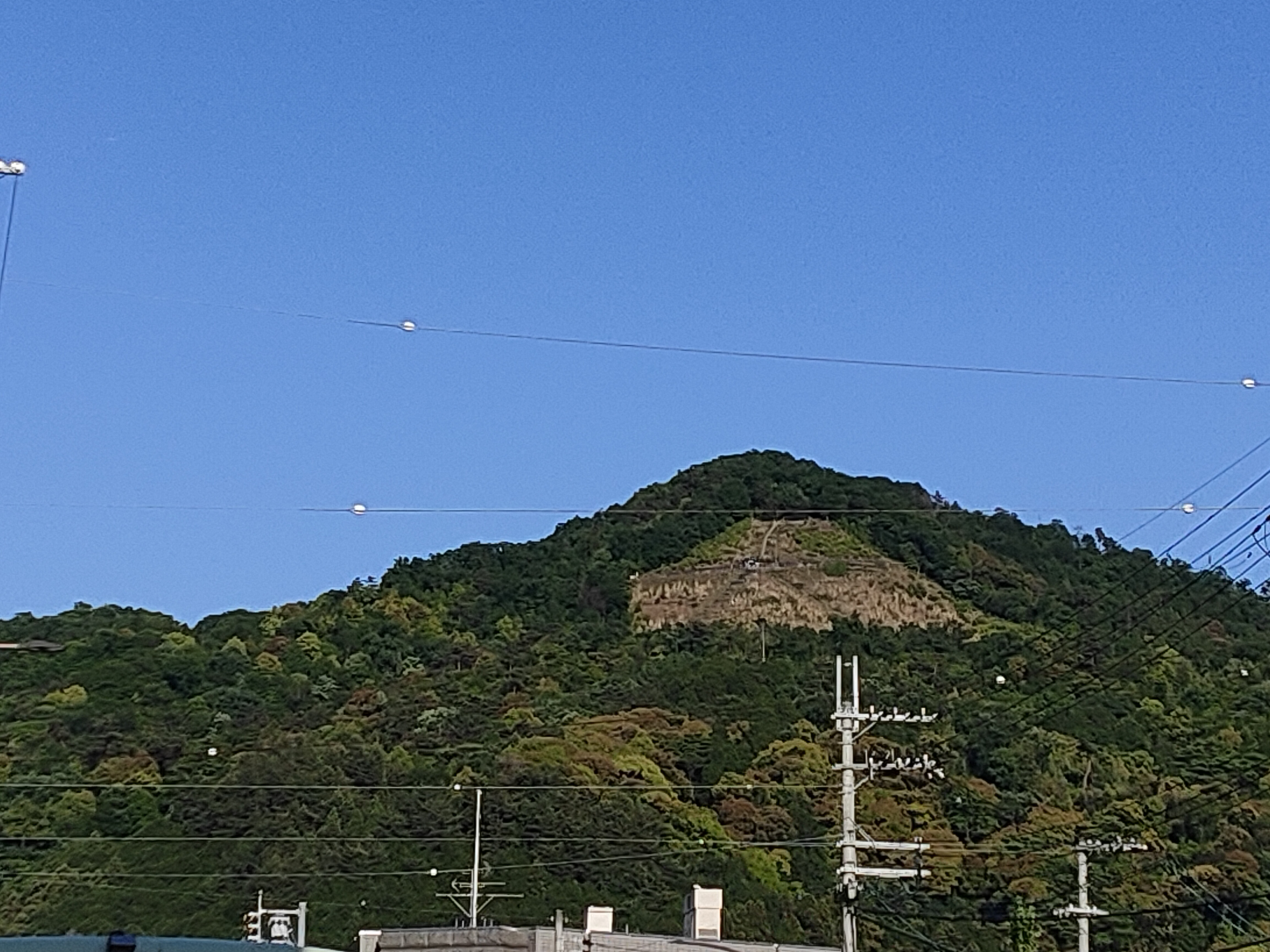 https://www.usagi-yado.com/blog/assets_c/IMG20240525171617.jpg