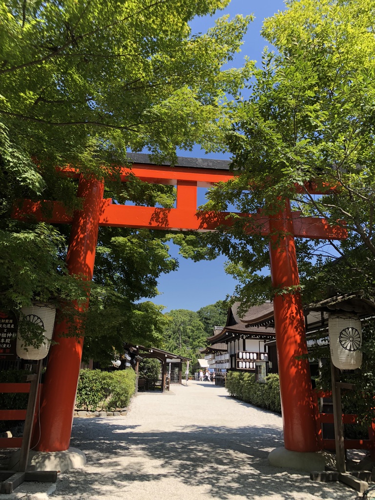 https://www.usagi-yado.com/blog/assets_c/IMG_7954%5B1%5D.JPG